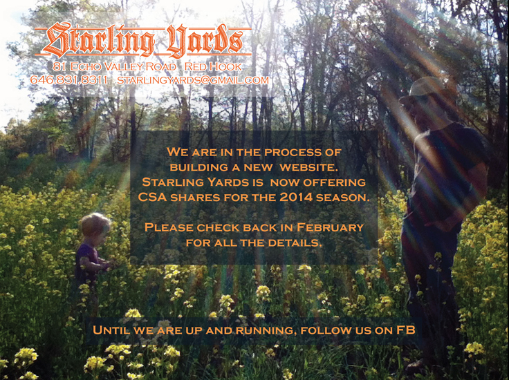 Starling Yards, 81 Echo Valley Rd, Red Hook, NY. 
   A farming venture by two artists.